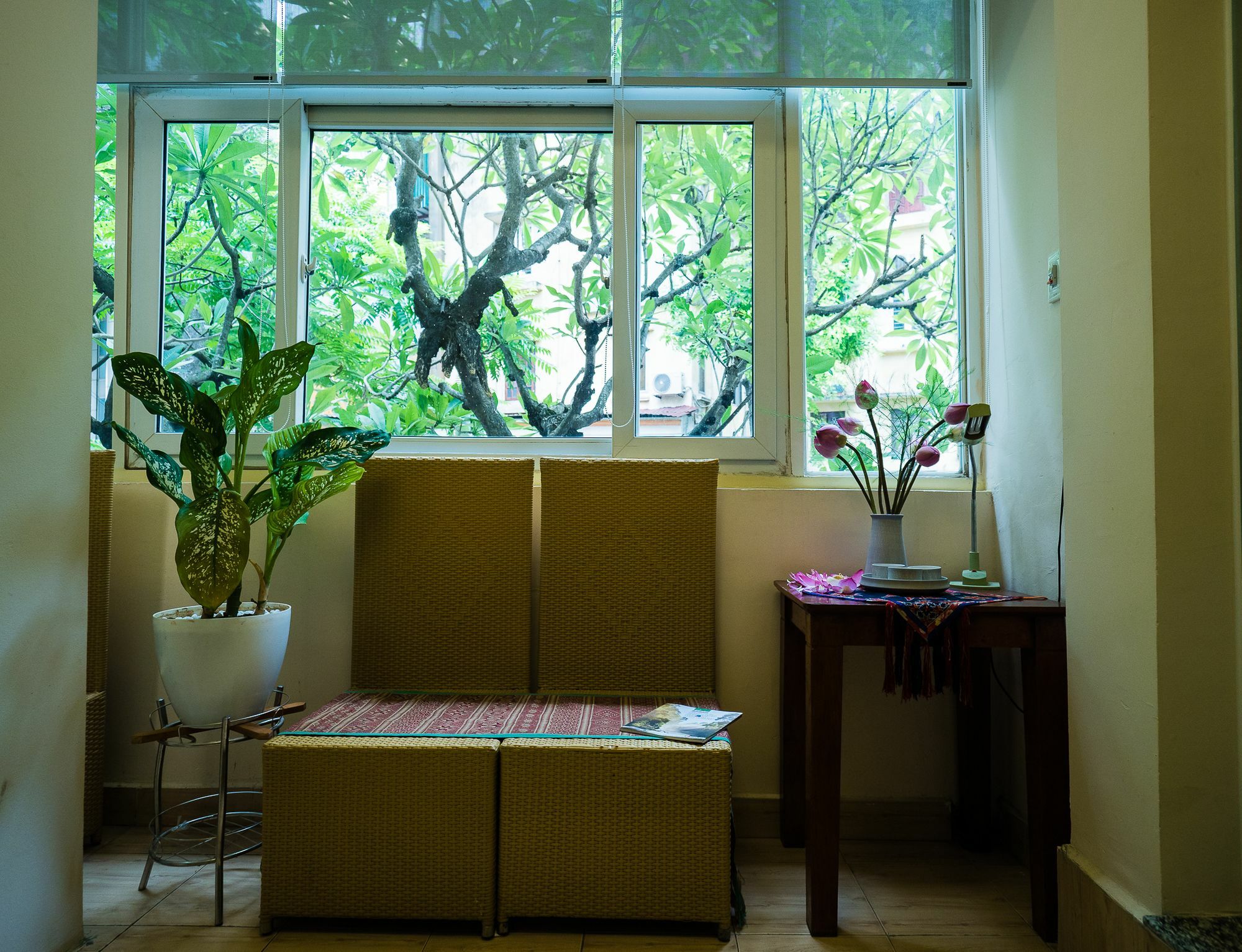 Hanoi Balcony Homestay Bagian luar foto
